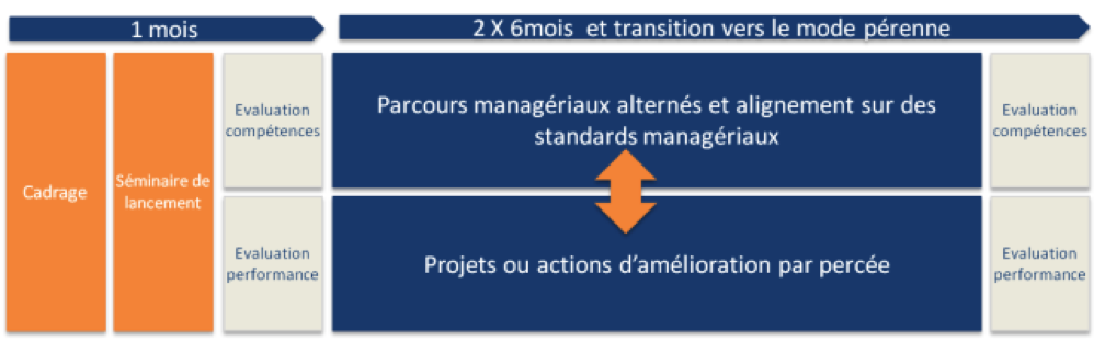 transformglobal-exemple